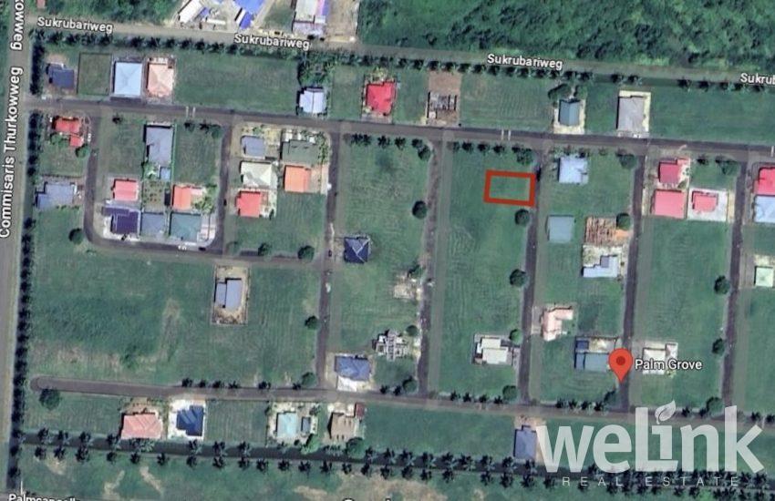 Canarypalmlaan Palm Grove